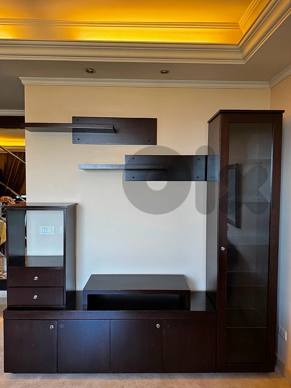 Modern Dark Wood TV Unit