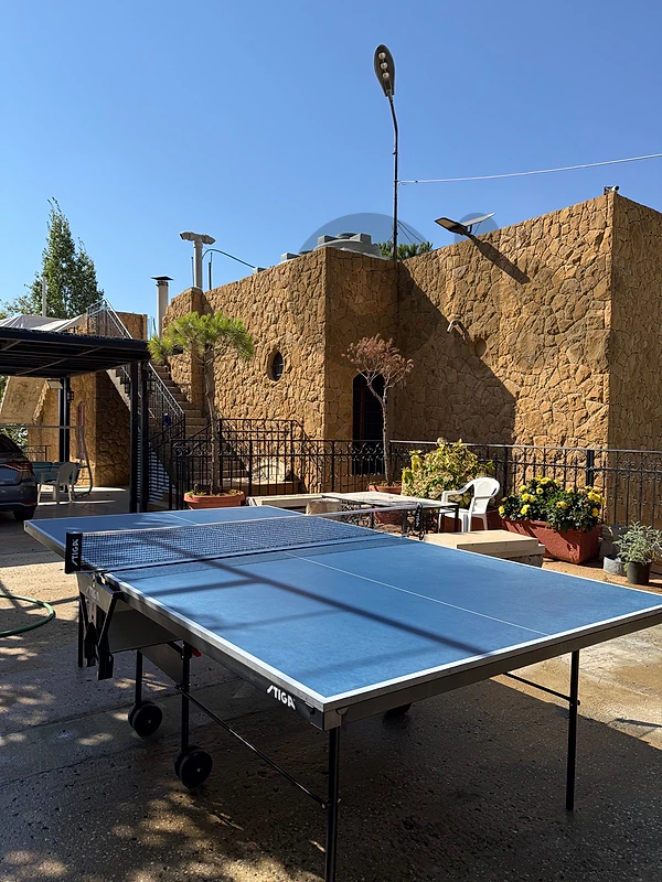 ping pong table