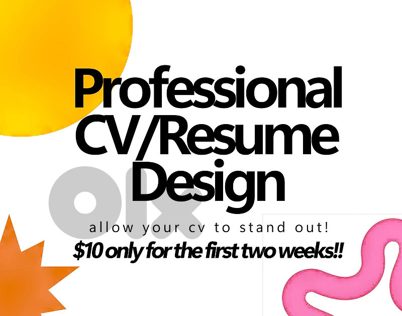 Professional CV / Resume Design – $10