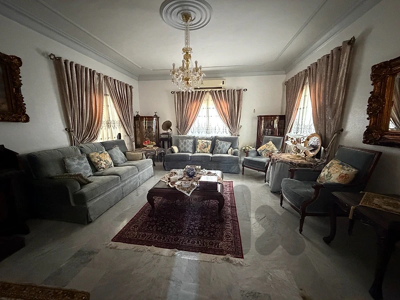 full living room sofa