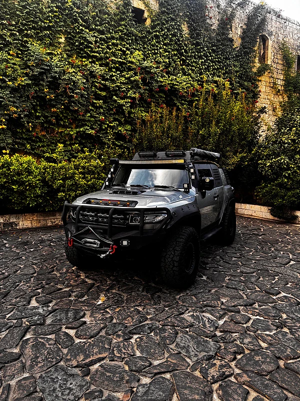 Toyota FJ Cruiser 2009 Toyota FJ Cruiser 2009
