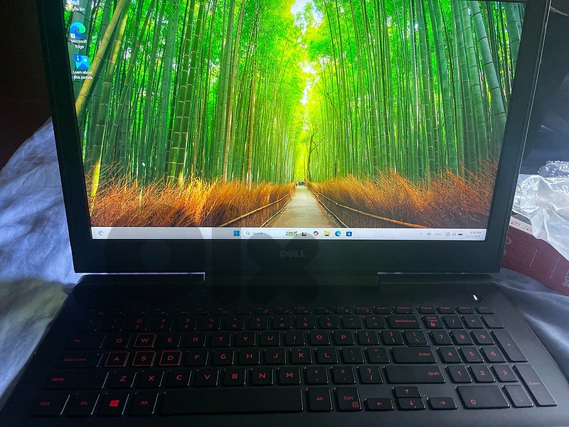 BORN TO PERFORM DELL INSPIRON 15 7567 GAMING LAPTOP