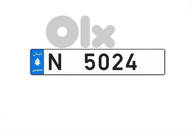 N 5024
