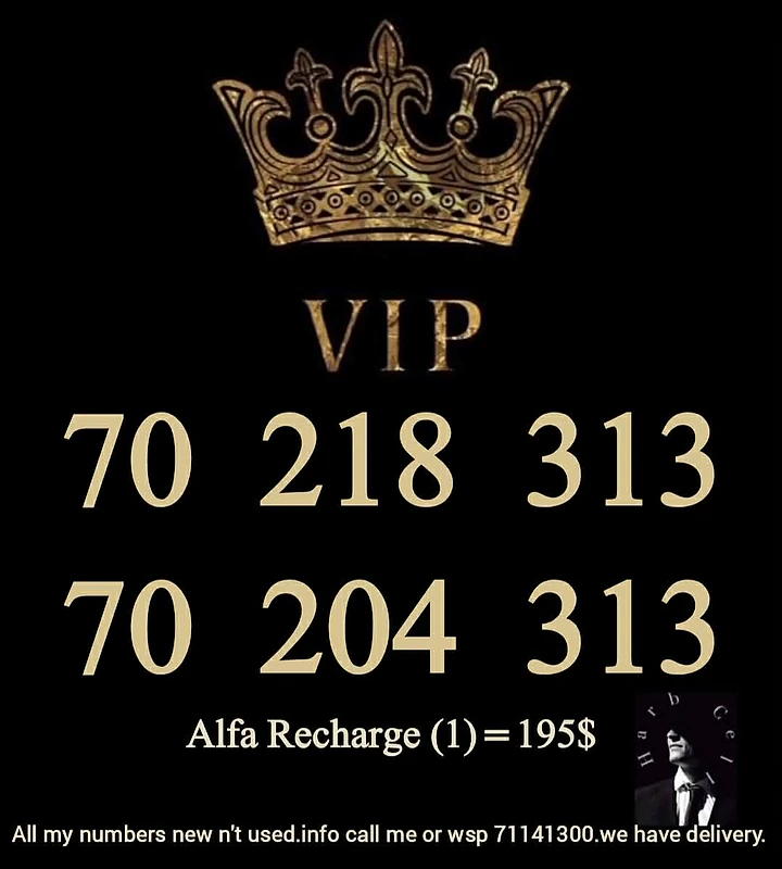313_Special Numbers & price Alfa recharge