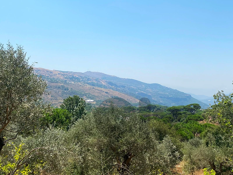 2 Lands For Sale In Aley / Charoun ارضين للبيع في شارون - عاليه
