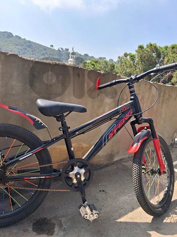 bicycle 95$