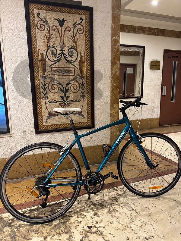 trek bike