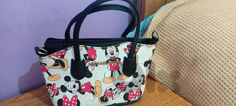 Beautiful Mickey mouse bag