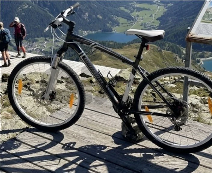 specialized