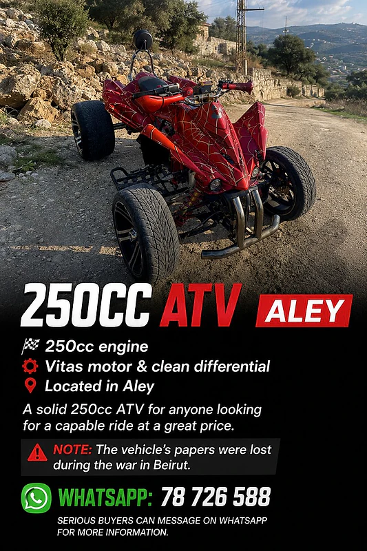 🔥 250cc ATV — ALEY 🔥