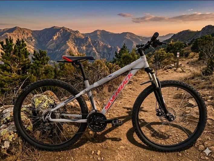 bike 27.5 Germany