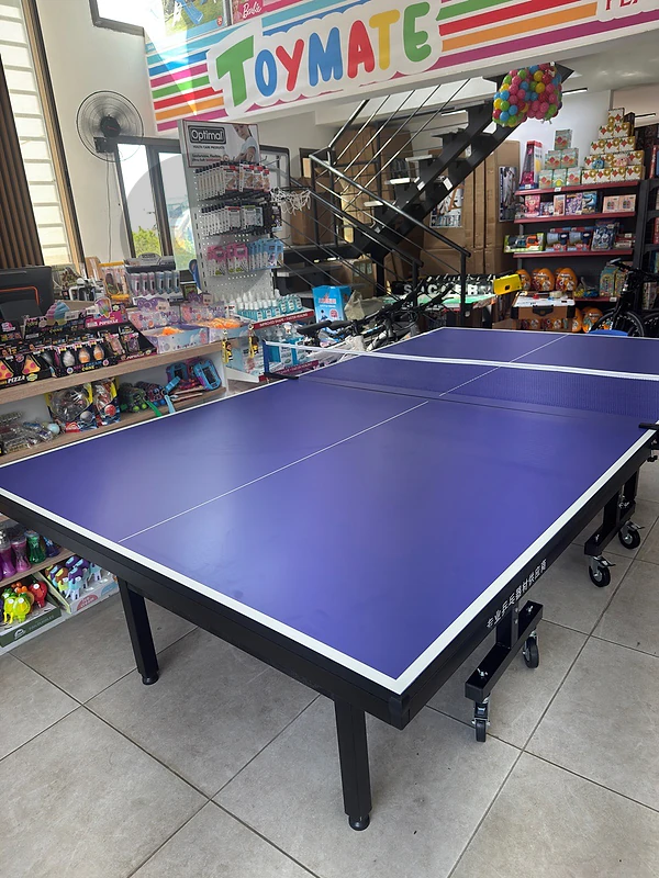 pingpong