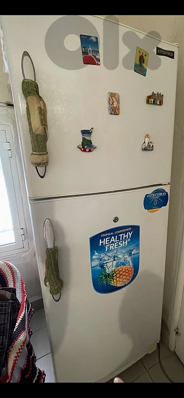 New Fridge