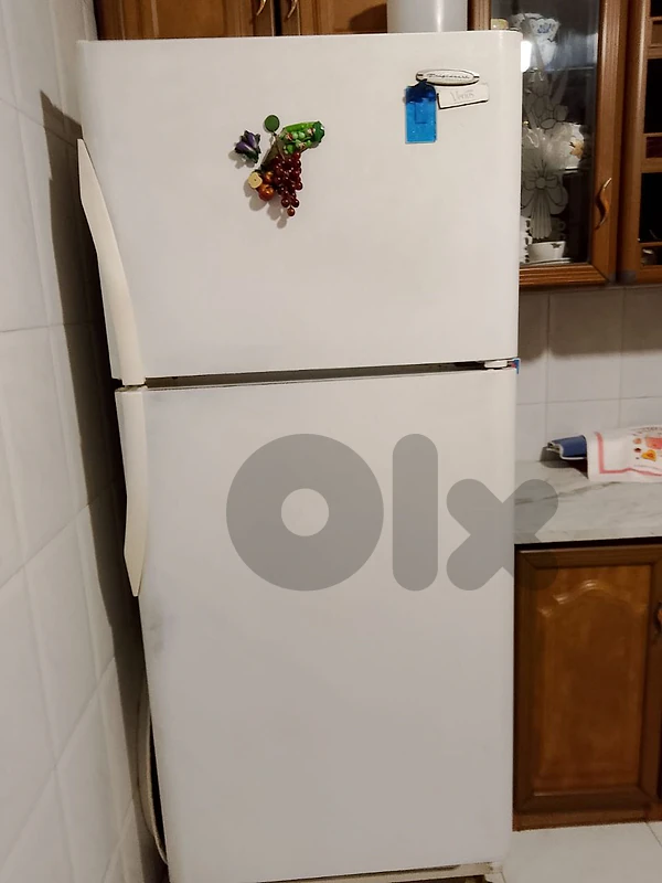 refrigerator & freezer