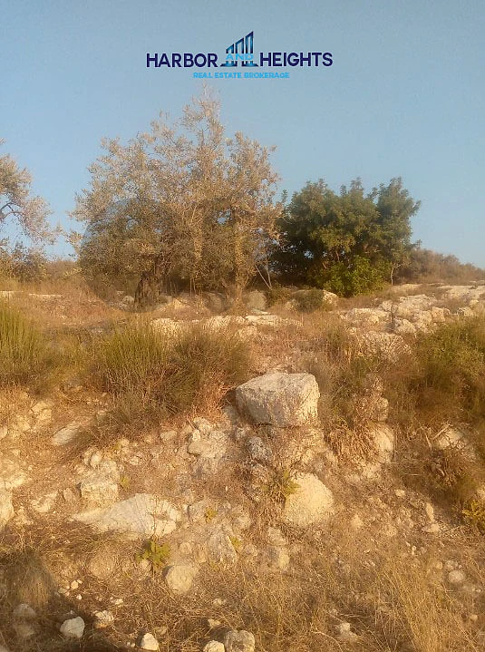 Land for Sale in Ras Nahache - أرض للبيع في راس نحاش