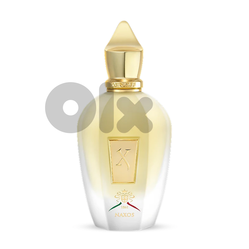 Xerjoff Naxos Eau de Parfum 100 mL – Unisex