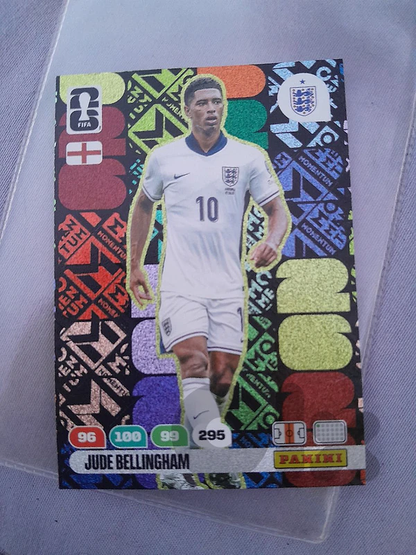 panini