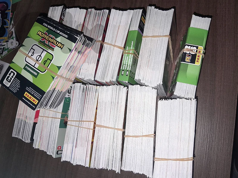 panini