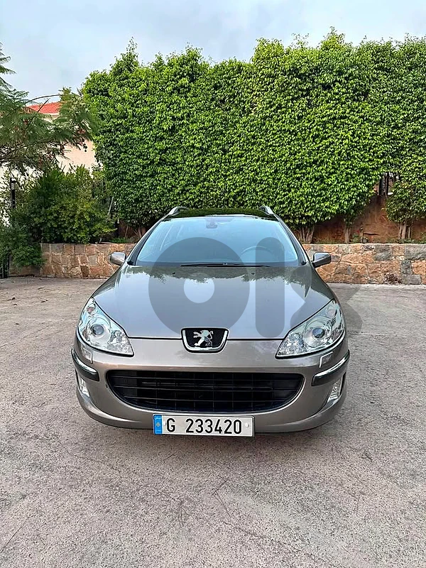 Peugeot 407	2005