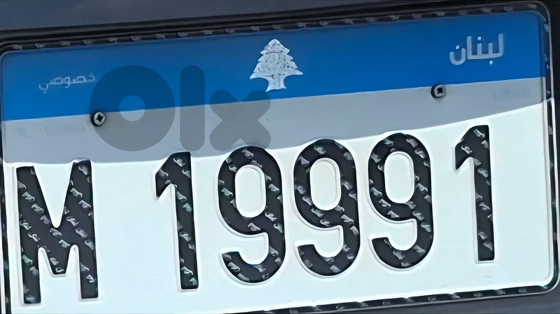 19991M plate nb for sale
