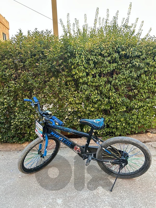 Blue Small Bicycle