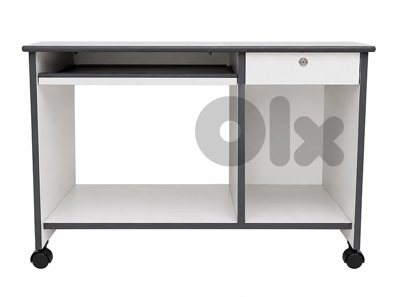 Mobile Computer Desk with Storage.