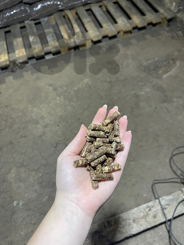 pellet حطب