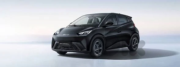 (أرغب في شراء سيارة BYD Seagull مستعملة ومسجلة.)