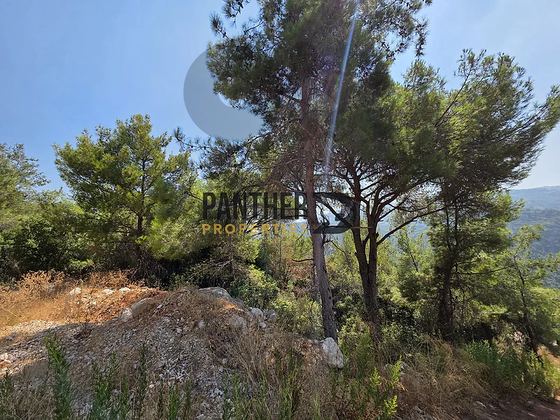 Land for sale in Monteverde Ref#AY133