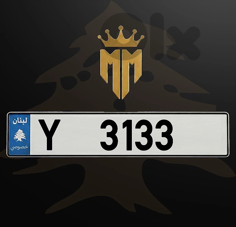 Y 3133