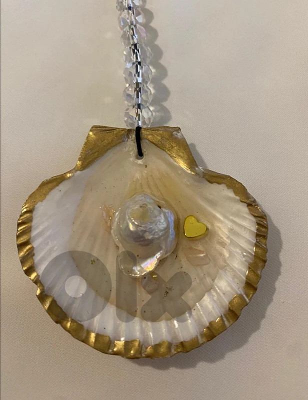Car Mirror Hanger 🐚🚗✨
