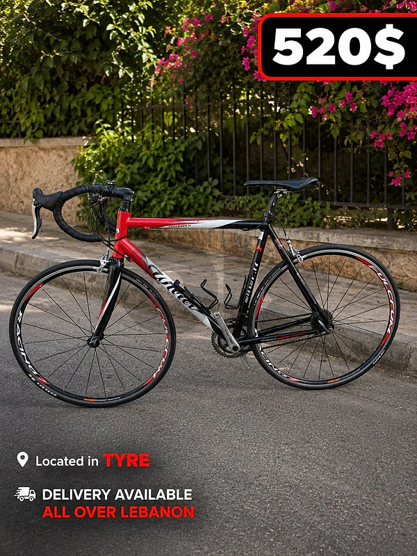 Wilier Triestina Lavaredo – Full Campagnolo, Carbon Fork – $520