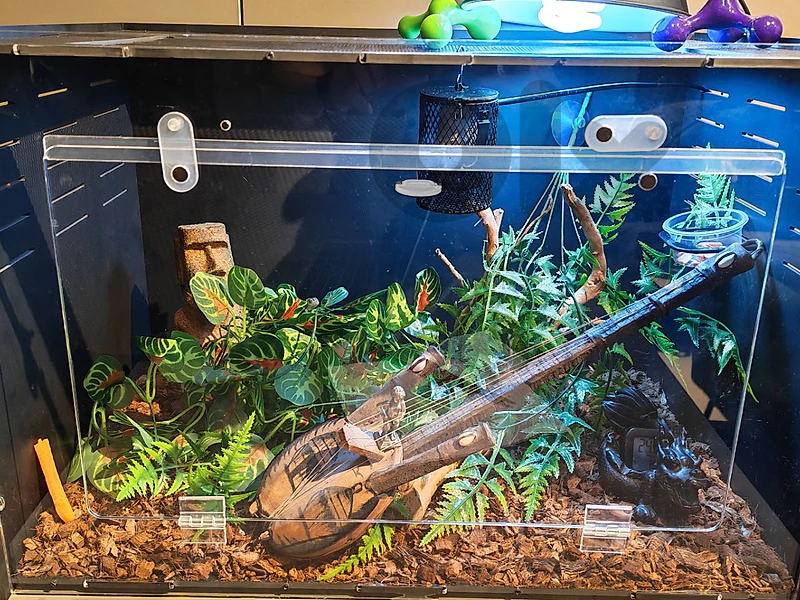 TERRARIUM FULL KIT