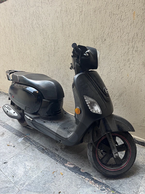 sym fiddle for sale