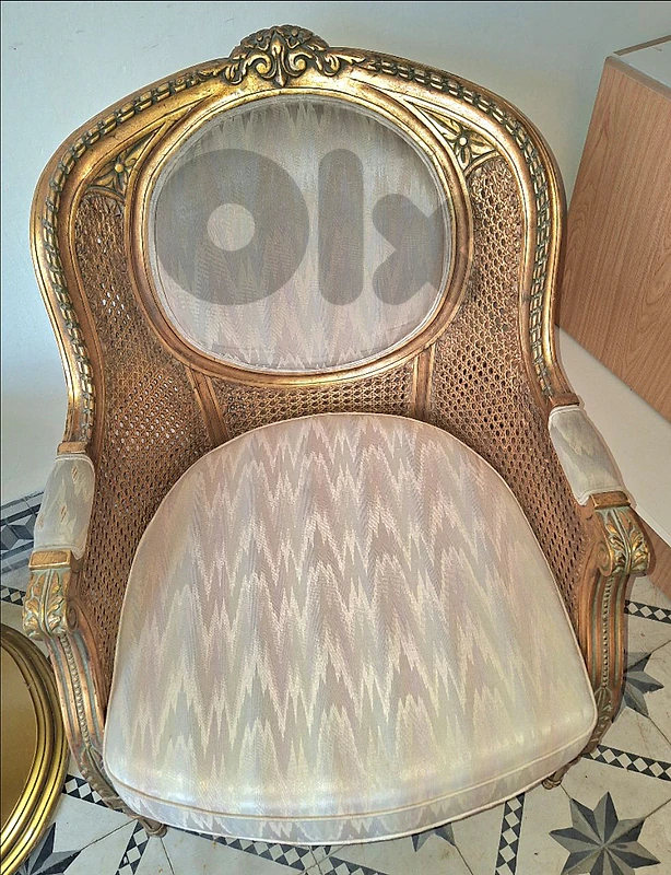 Luxury antique salon set inspired by the Louis XVI style