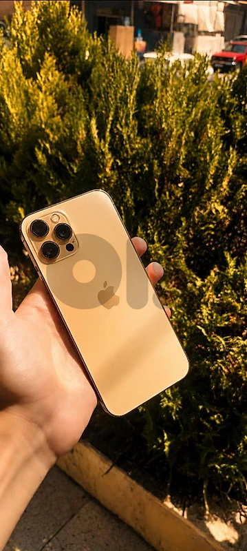 iPhone 12 Pro Max 256GB – Gold – Like New 📱✨