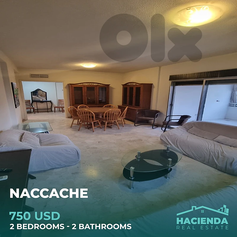 Apartment For Rent In Naccache