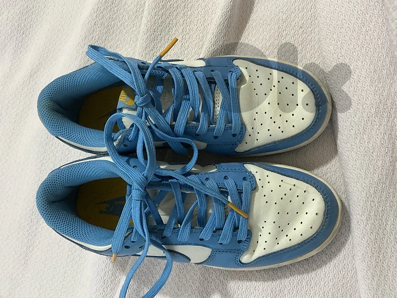 nike dunk low