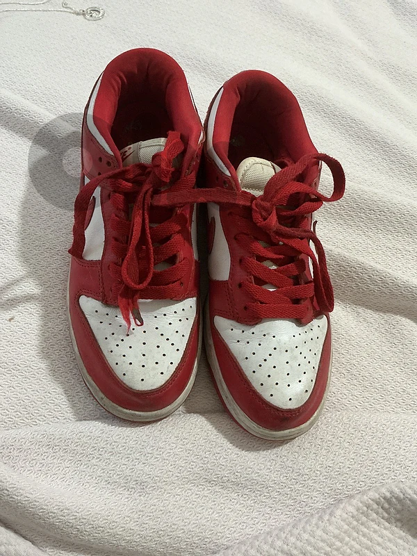 nike dunk low