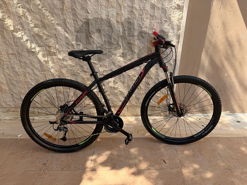 specialized 29l