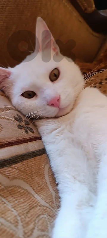 Nooby🤍🥺