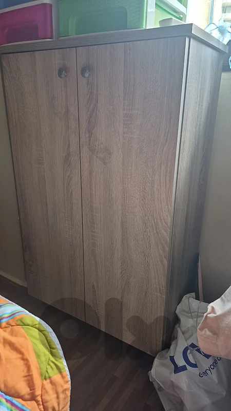cabinet  shoes