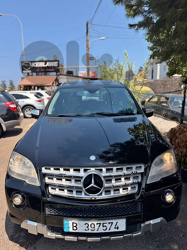 ML 2009