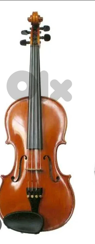Violin lessons for beginners any age