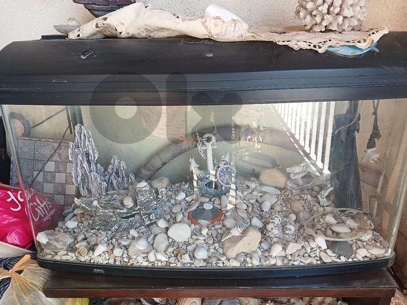 aquarium for sale