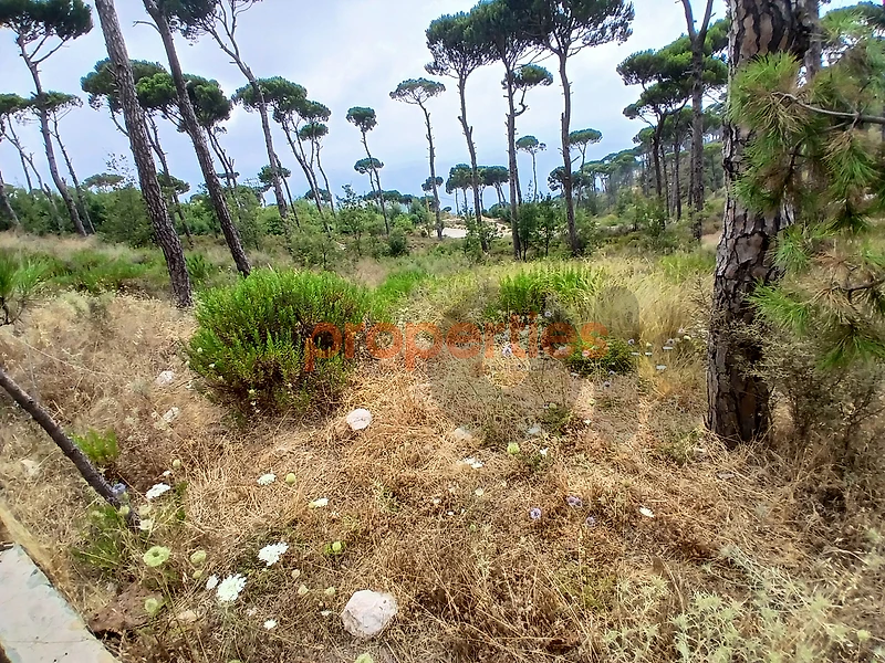 Land For Sale In Ayroun أرض للبيع في عيرون CPKH18