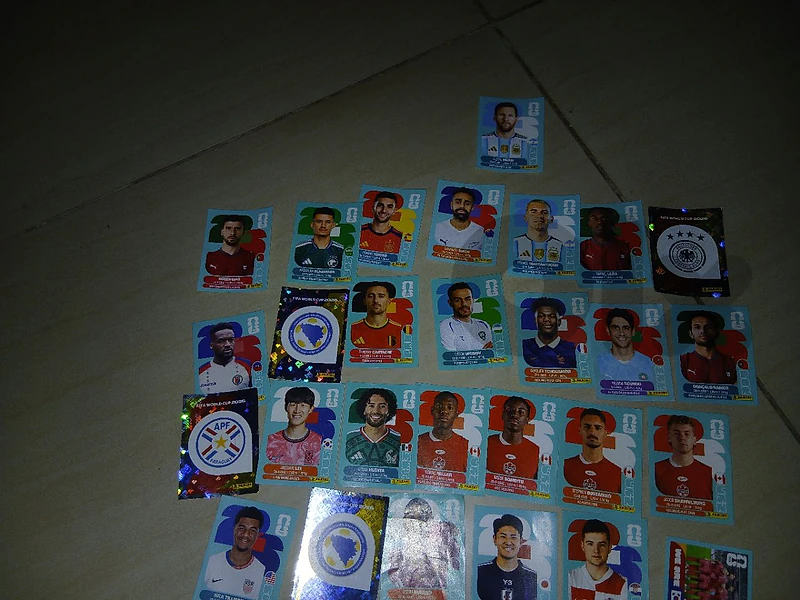 panini