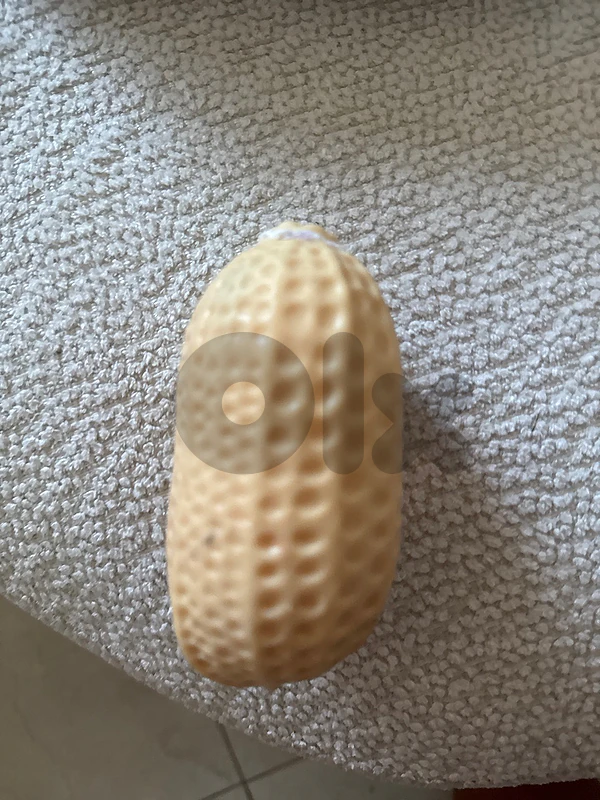 peanut squishy