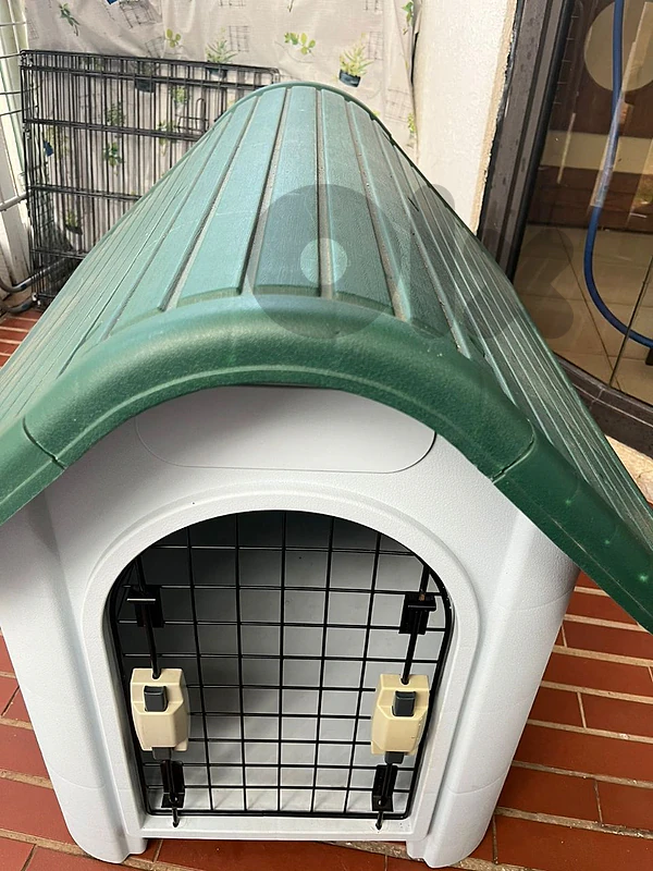 dog house
