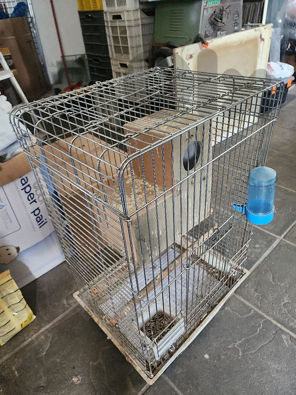 cage for birds/ parrots قفص عصافير/ببغاء